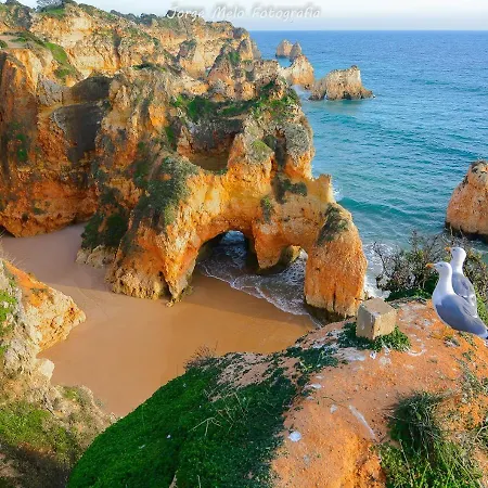 Апартаменты Marina-h