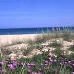 Marina-h لاغوس