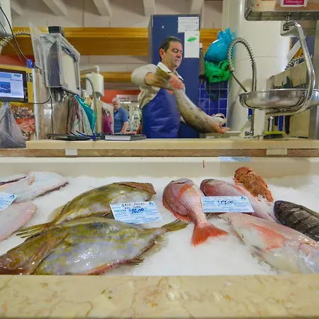 Apartmán Marina-h *